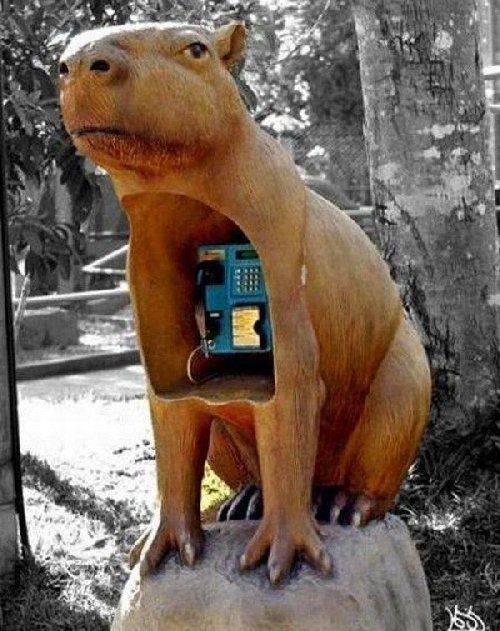 Najdziwniejsze budki telefoniczne Najdziwniejsze budki telefoniczne