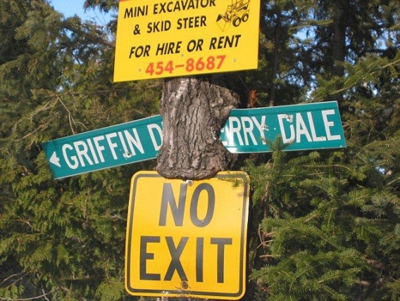 Głodne drzewo Głodne drzewo