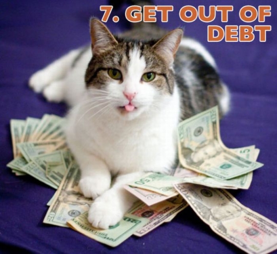 Koty przedstawiają noworoczne postanowienia Koty przedstawiają noworoczne postanowienia