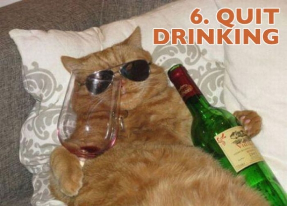 Koty przedstawiają noworoczne postanowienia Koty przedstawiają noworoczne postanowienia