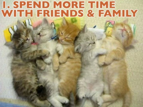 Koty przedstawiają noworoczne postanowienia Koty przedstawiają noworoczne postanowienia