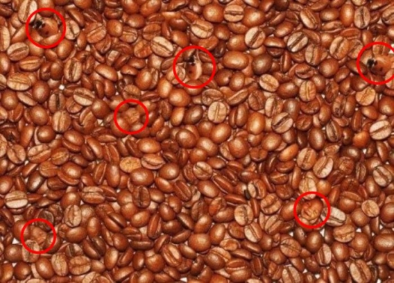 Zagadka dnia Zagadka dnia