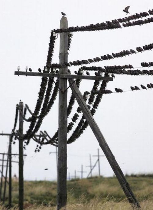 Budowlane wpadki Budowlane wpadki