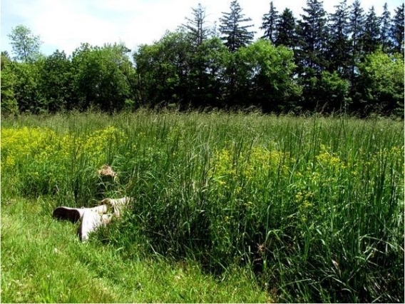 Z trupem dookoła świata Z trupem dookoła świata