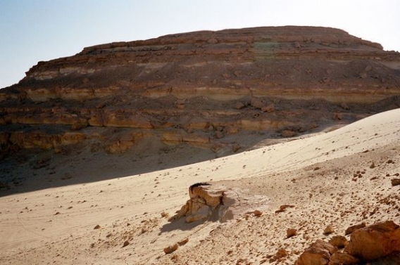 Z trupem dookoła świata Z trupem dookoła świata