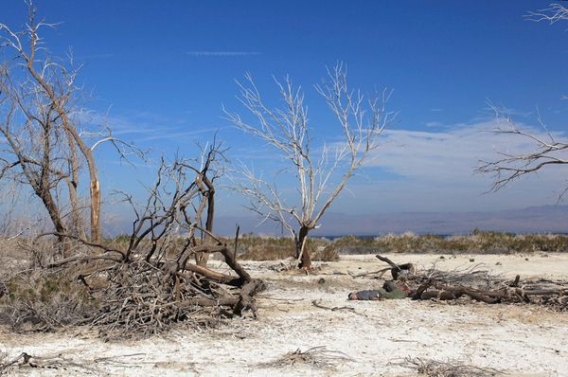 Z trupem dookoła świata Z trupem dookoła świata