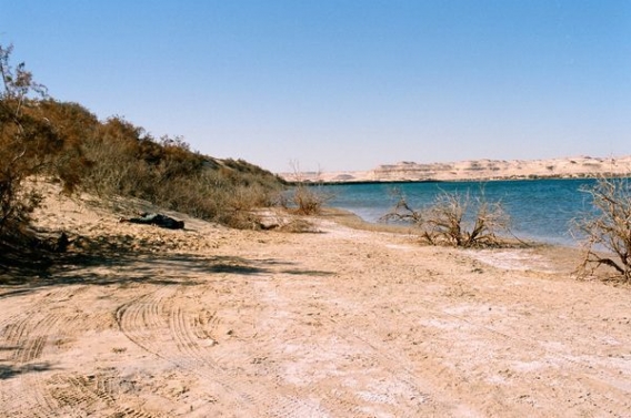 Z trupem dookoła świata Z trupem dookoła świata