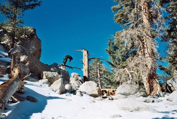 Z trupem dookoła świata Z trupem dookoła świata