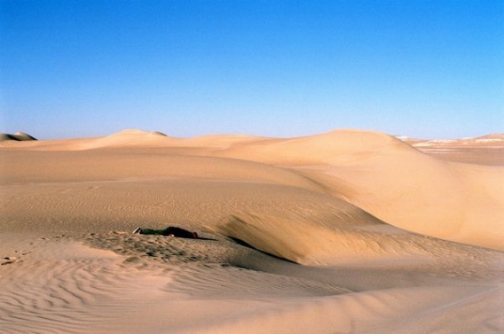 Z trupem dookoła świata Z trupem dookoła świata