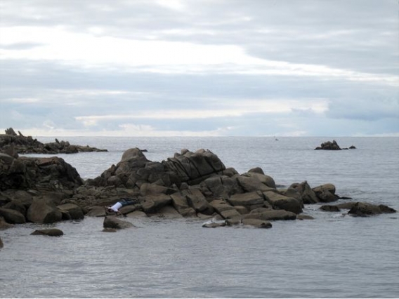 Z trupem dookoła świata Z trupem dookoła świata