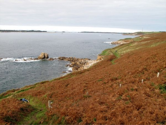 Z trupem dookoła świata Z trupem dookoła świata