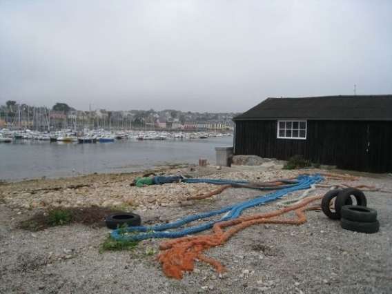 Z trupem dookoła świata Z trupem dookoła świata