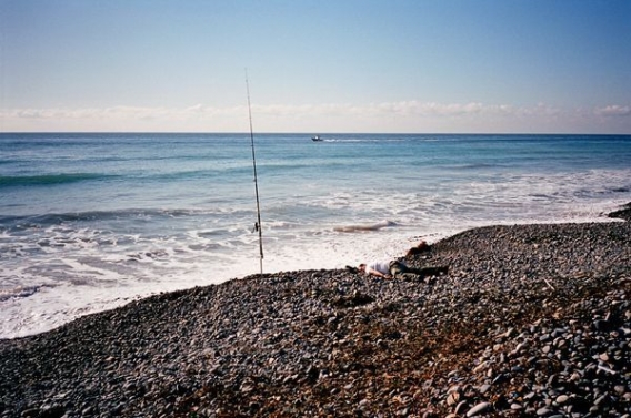 Z trupem dookoła świata Z trupem dookoła świata