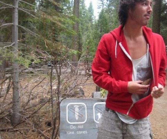 Łamiemy zakazy Łamiemy zakazy