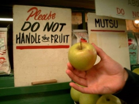 Łamiemy zakazy Łamiemy zakazy