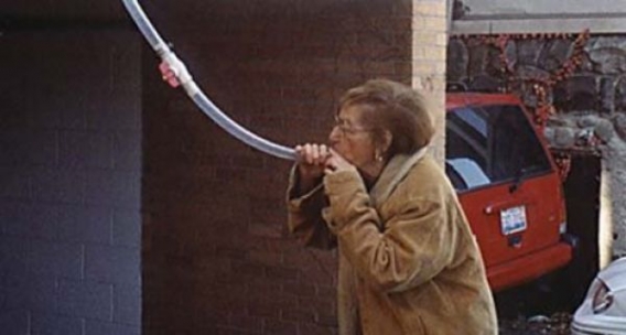 Szalone dziadki Szalone dziadki