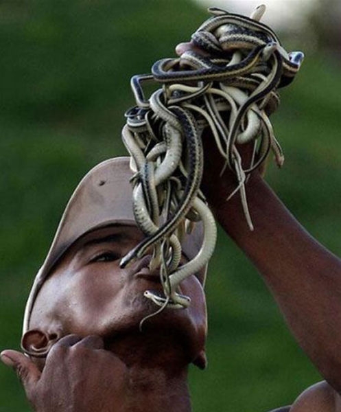 Najdziwniejsze zdjęcia Najdziwniejsze zdjęcia