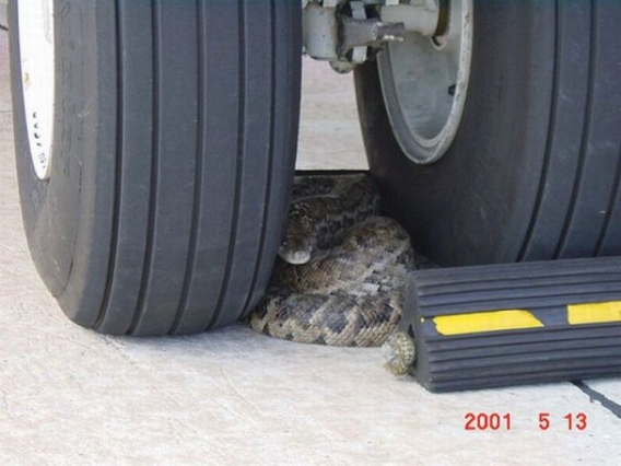 Dziwne wypadki Dziwne wypadki