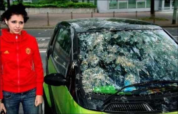 Dziwne wypadki Dziwne wypadki