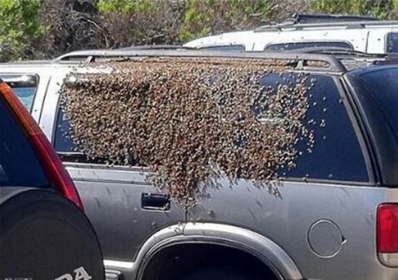 Dziwne wypadki Dziwne wypadki