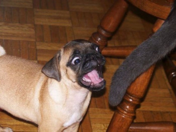 Dziwne wypadki Dziwne wypadki