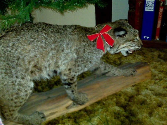 Święta u Rednecków Święta u Rednecków