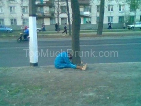 Alkoholowy sen Alkoholowy sen