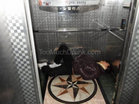 Alkoholowy sen Alkoholowy sen