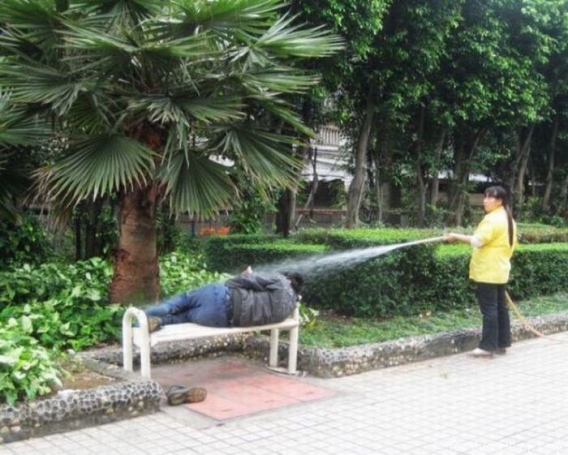 Alkoholowy sen Alkoholowy sen