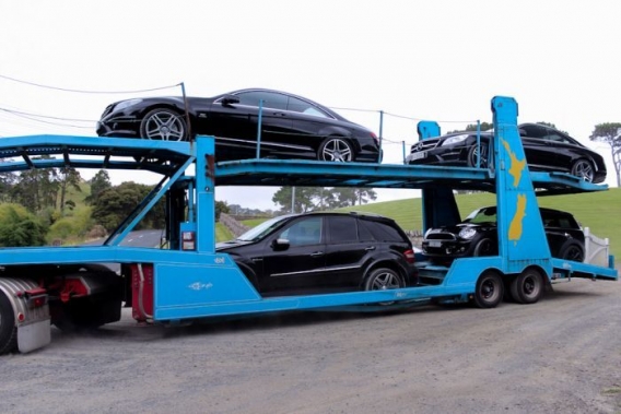 Właściciel MegaUpload Właściciel MegaUpload