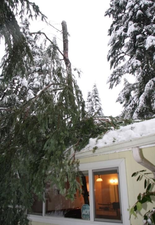 Szczęściarz Szczęściarz