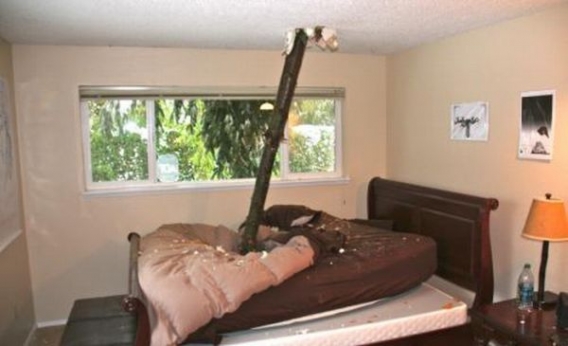 Szczęściarz Szczęściarz