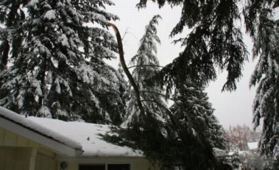 Szczęściarz Szczęściarz