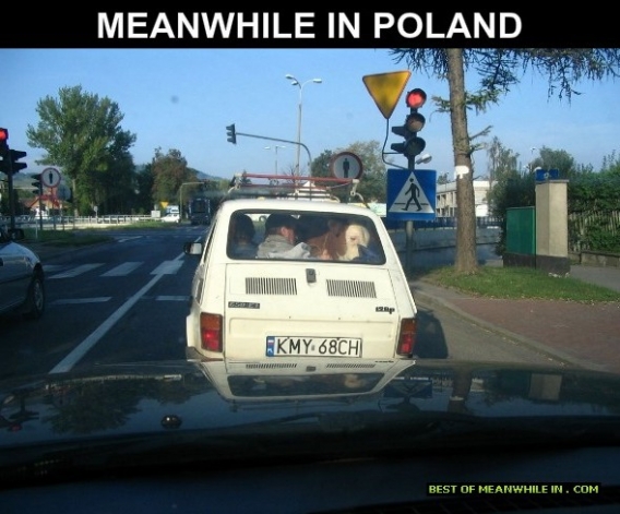 Tymczasem w Polsce Tymczasem w Polsce