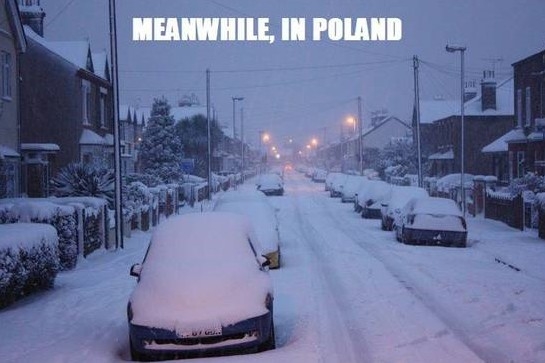 Tymczasem w Polsce Tymczasem w Polsce