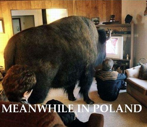 Tymczasem w Polsce Tymczasem w Polsce