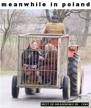 Tymczasem w Polsce Tymczasem w Polsce