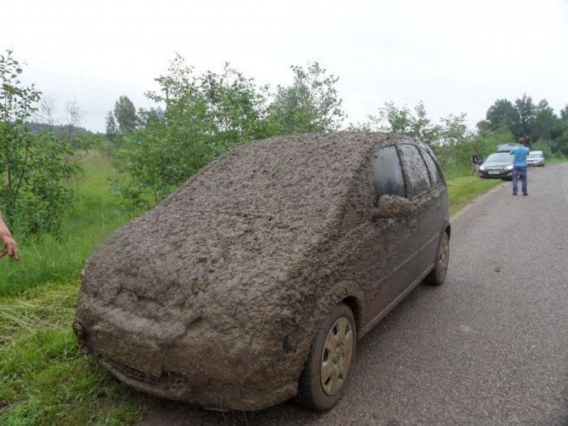 Zagadka dnia Zagadka dnia