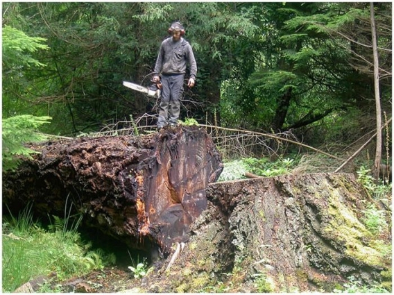 Tommy Craggs Tommy Craggs