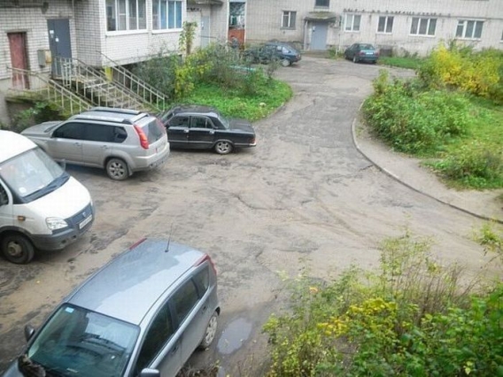 Znajdz kota Znajdz kota