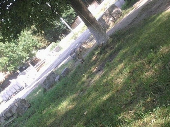 Znajdz kota Znajdz kota