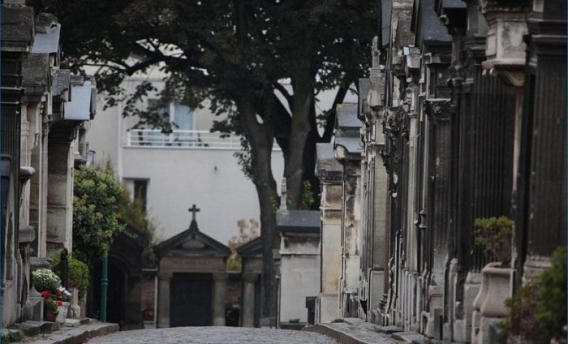 Znajdz kota Znajdz kota