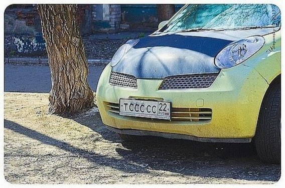 Znajdz kota Znajdz kota