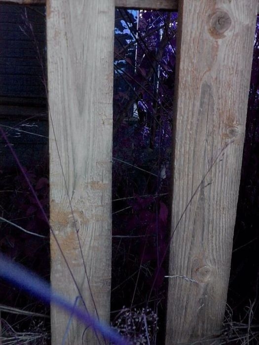 Znajdz kota Znajdz kota