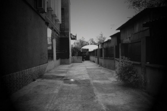 Znajdz kota Znajdz kota