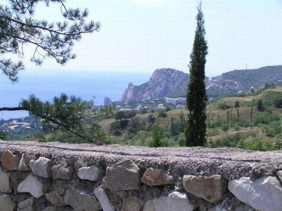 Znajdz kota Znajdz kota