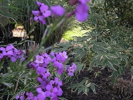 Znajdz kota Znajdz kota