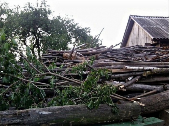 Znajdz kota Znajdz kota