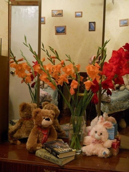 Znajdz kota Znajdz kota