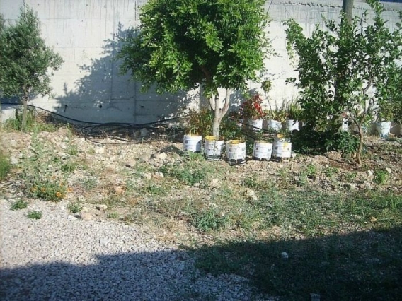 Znajdz kota Znajdz kota